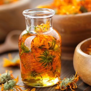 Extracto de Flor de Caléndula